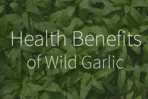 Health Benefits of Wild Garlic