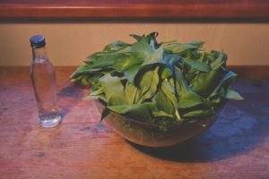 Wild Garlic Tincture Ingredients